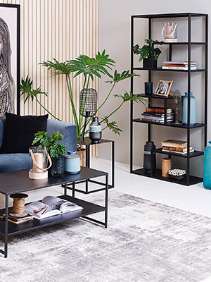 Lite Regal und Tisch