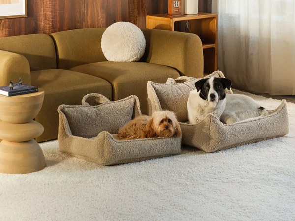 Wigiwama Pet-Kollektion: gepolsterte Hundebetten im Wohnzimmer